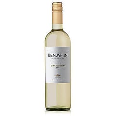 NIETO SENETINER - Vino Benjamin Chardonnay 750 mL