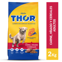 THOR - Comida para perros adultos sabor carne hígado y cereales de 2 kg